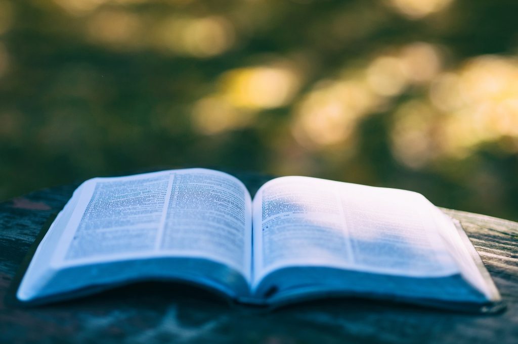 Ein offenes Buch liegt auf einem Holzstamm im Wald