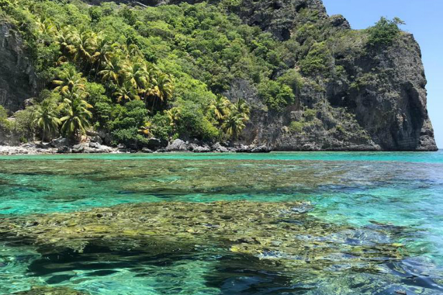 Bucht mit strahlend blauem Wasser und grünem Ufer © TourCert