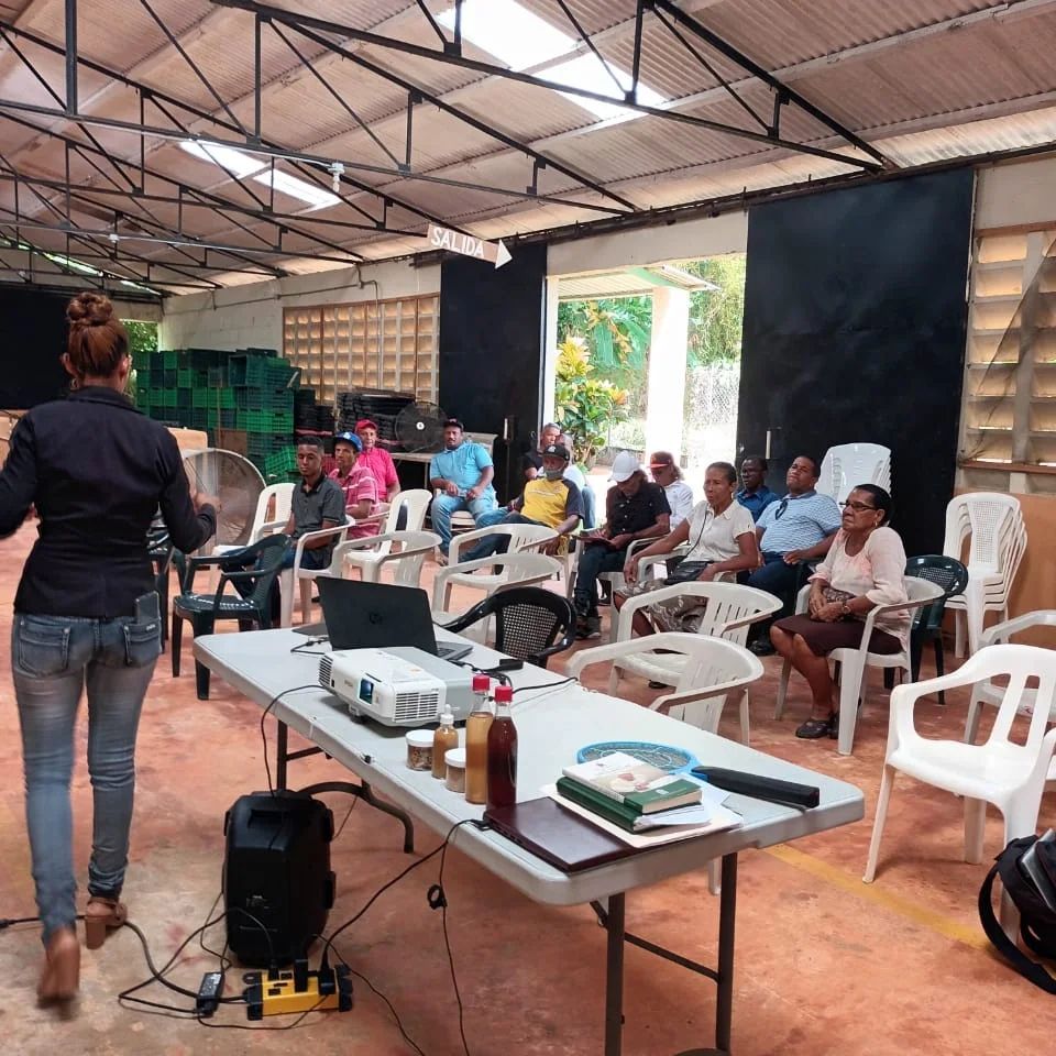 Aufgereihte Stühle, auf denen Menschen sitzen. Vor den Stühlen steht ein Tisch mit einem Beamer und Laptop
