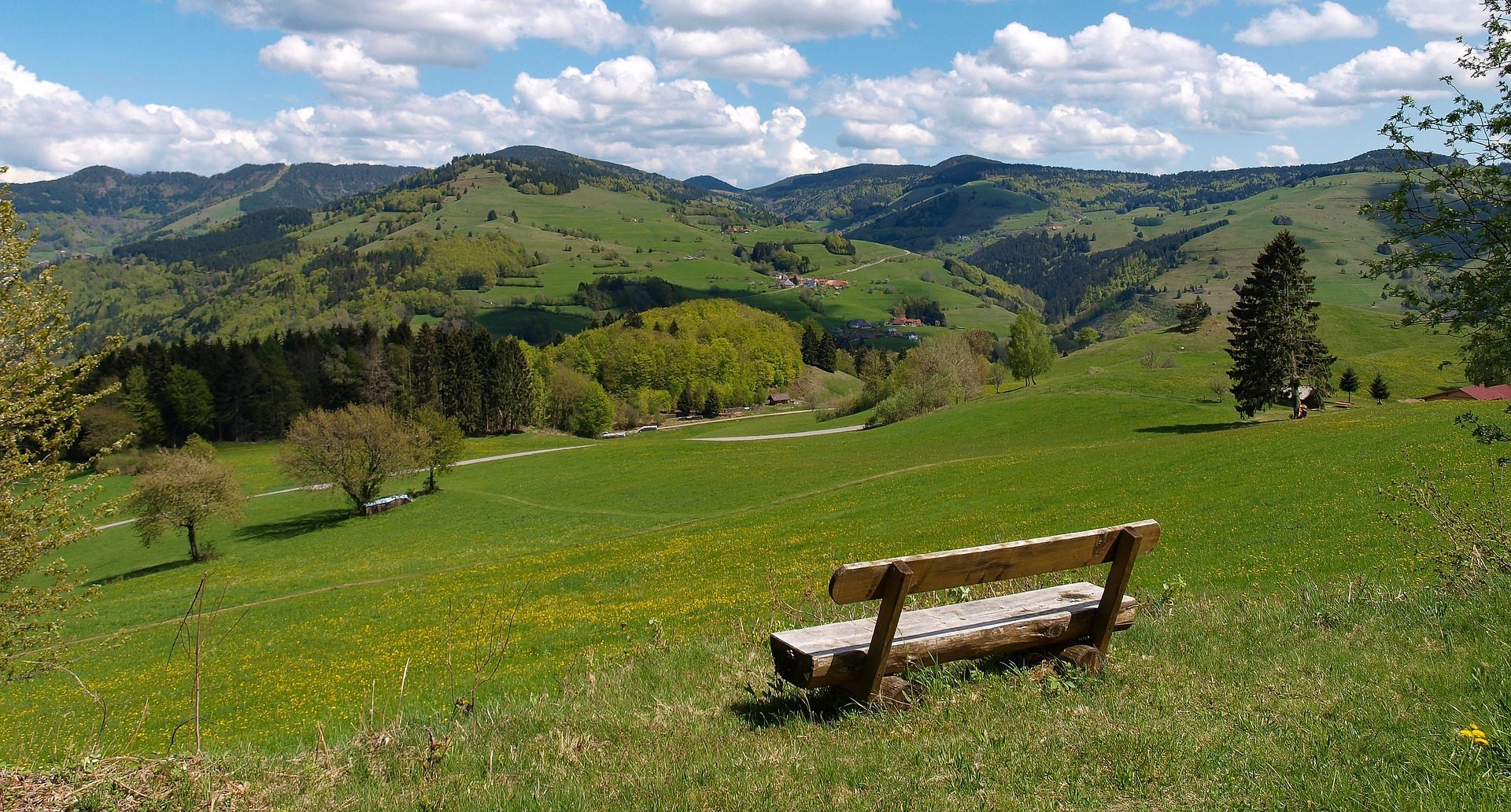 Eine Bank im nördlichen Schwarzwald