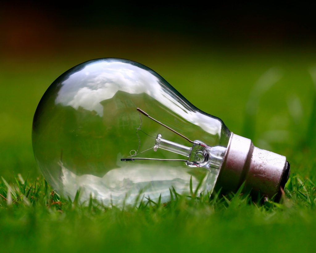 Eine Glühbirne liegt im Gras.