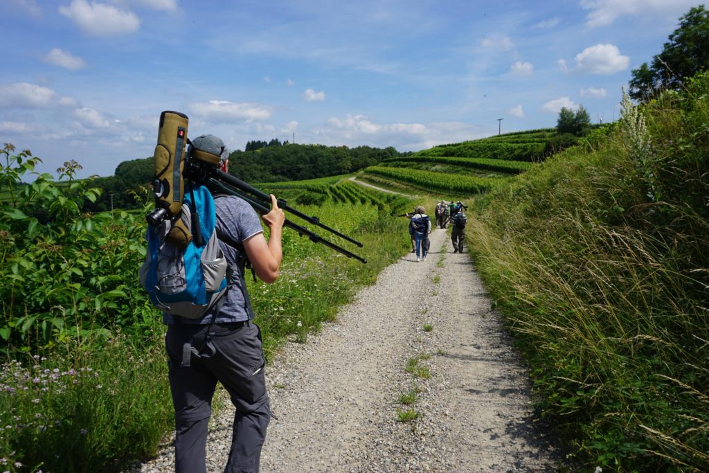 Mann mit Fernglas in der Natur