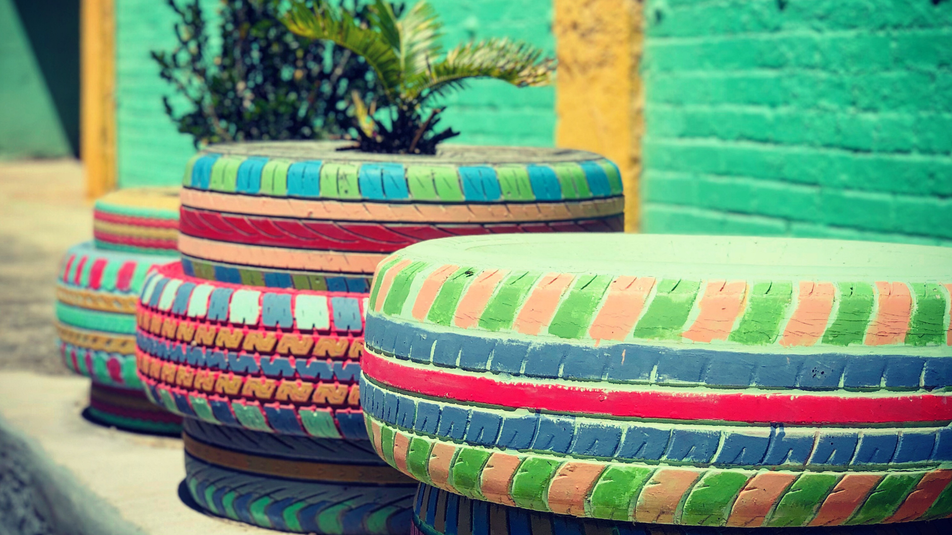 Bunt angemalte Reifen vor einer grünen Wand
