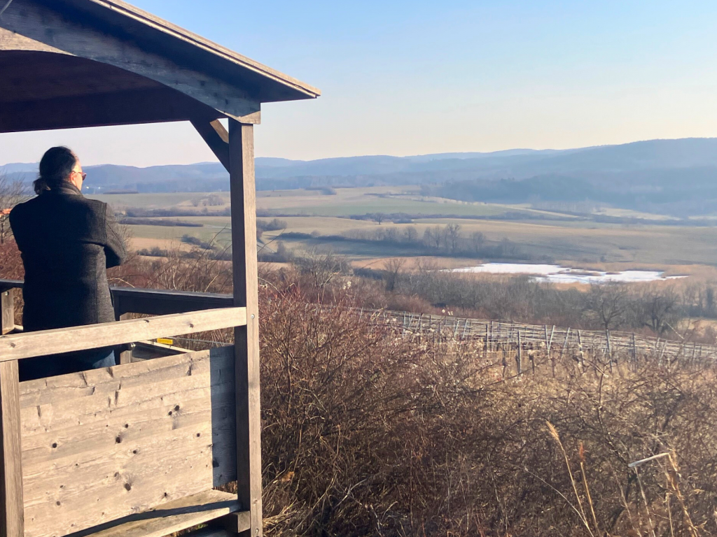 A man stands on a hill, looking out over the Burgenland landscape.