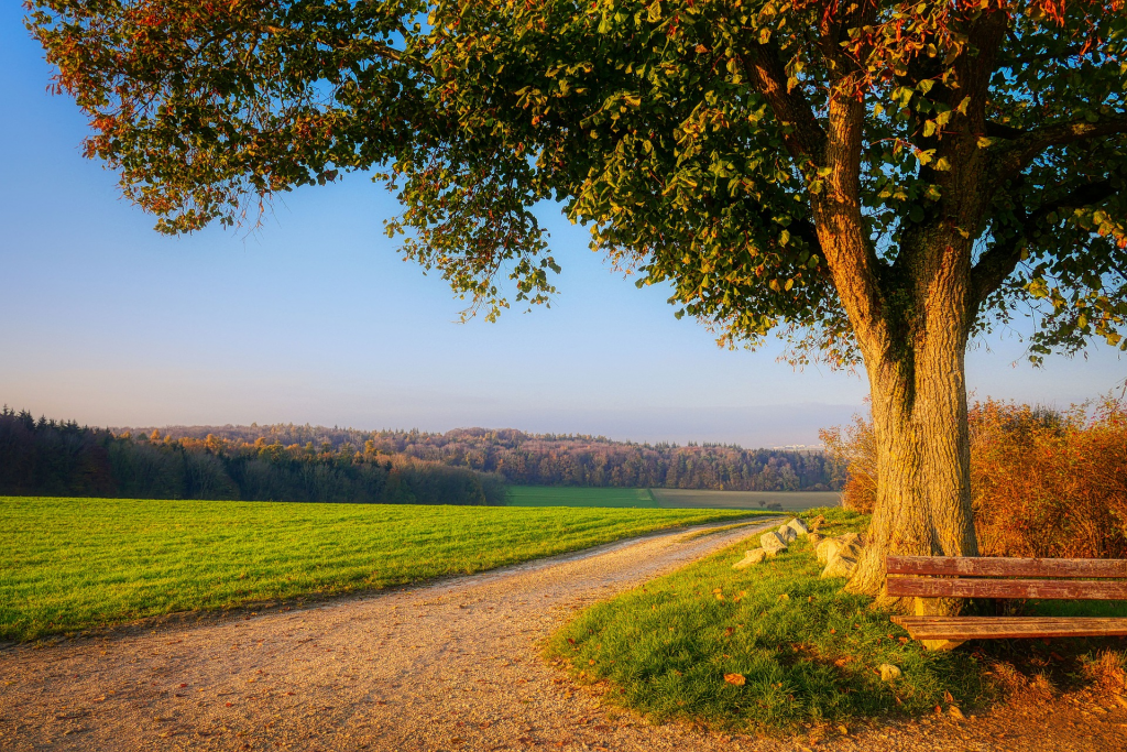 Kiesweg durch die Natur mit Ausblick über die Landschaft, mit Sitzbank und Baum